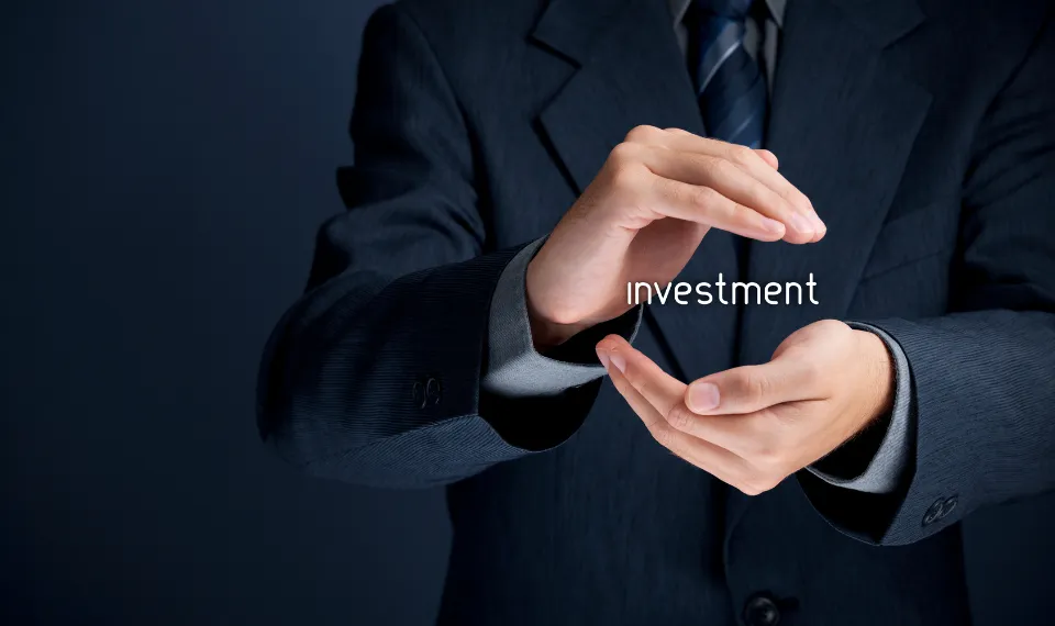 badan pengelola investasi danantara