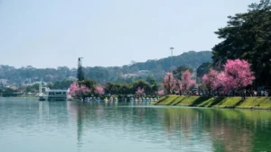 Dalat Vietnam: Salah Satu Tempat Wisata Terpopuler di Vietnam 2025 yang Wajib Kamu Jelajahi!