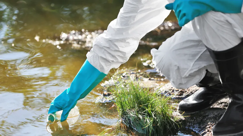 bioremediator adalah